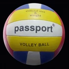 Volleyball Passport Type F 1
